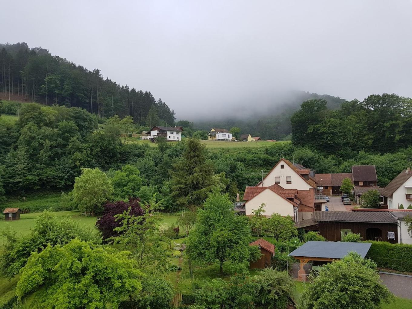 Landhotel Zur Wegelnburg Schönau Екстериор снимка