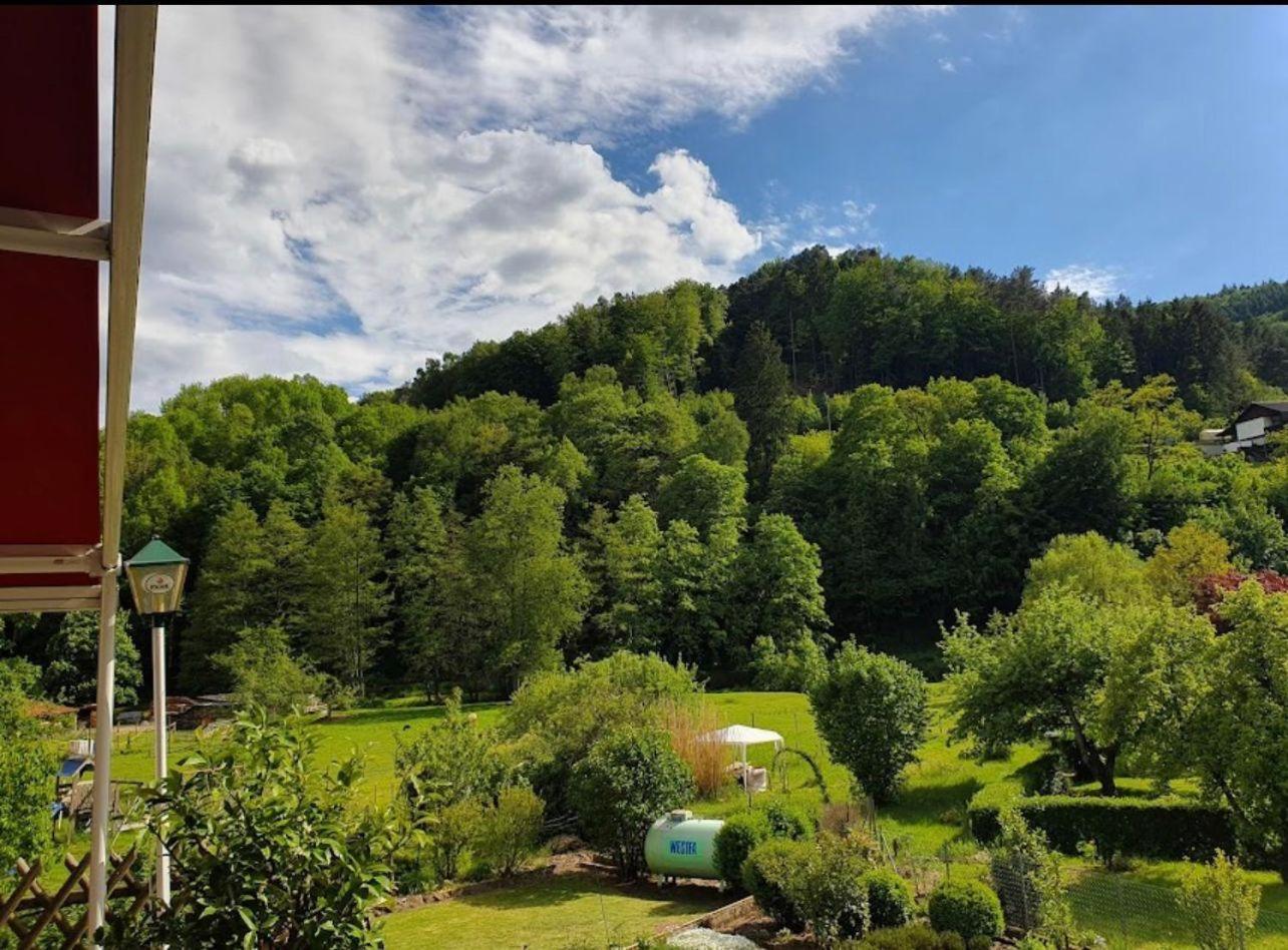 Landhotel Zur Wegelnburg Schönau Екстериор снимка